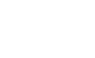 Chameleon logo
